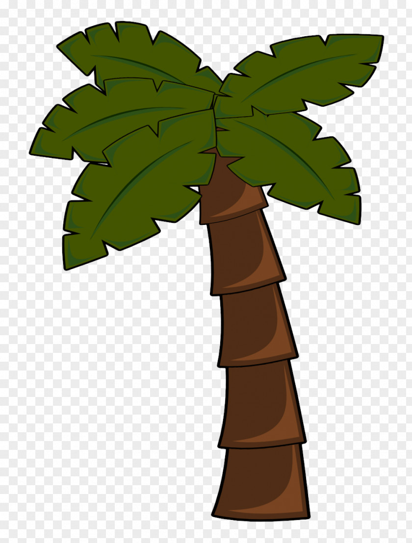 Beach Palm Tree Pictures Arecaceae Clip Art PNG