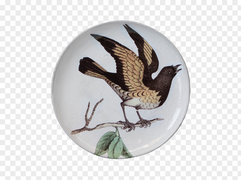 Cooking Ware Ceramic Platter Tableware Beak Bird PNG