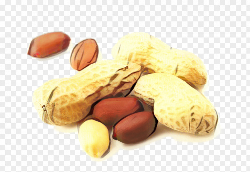 Cuisine Mixed Nuts Cooking Cartoon PNG