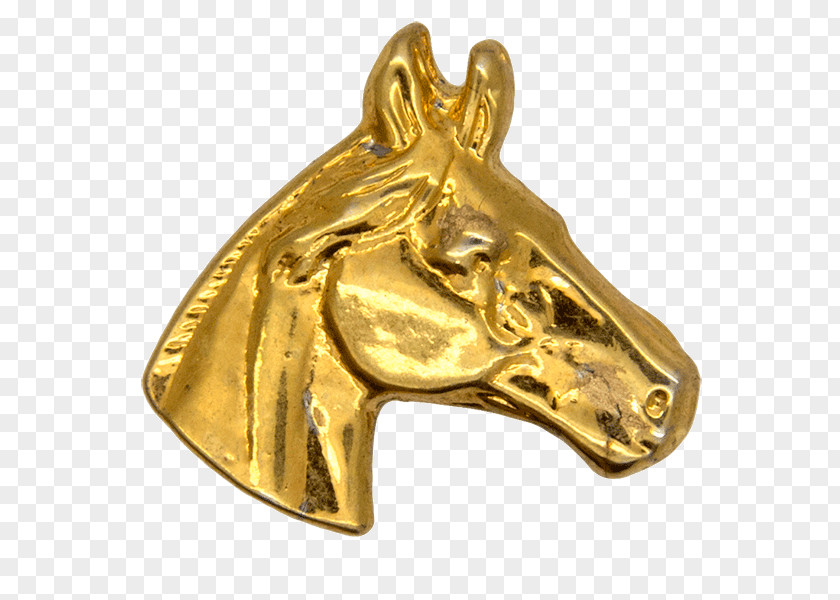Gold 01504 Bronze PNG