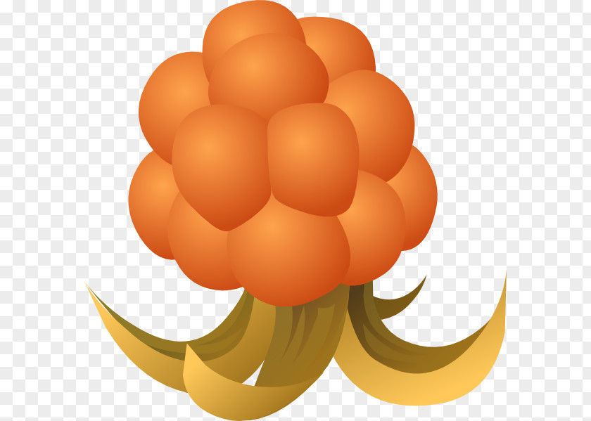 Guava Cloudberry Drawing Clip Art PNG