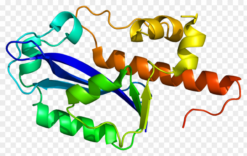 ISG20 Protein RecBCD Gene Interferon PNG