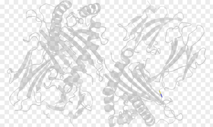 Peptidomimetic Line Art Sketch PNG