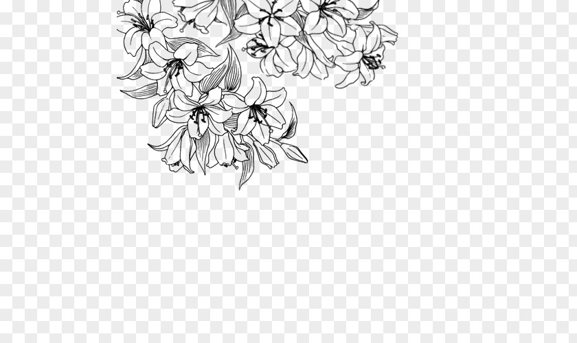Succulent Border Flower Desktop Wallpaper Drawing White Clip Art PNG