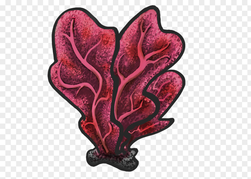 Coral Reef Gorgonia Ventalina Alcyonacea Video Game Gamer Blog PNG