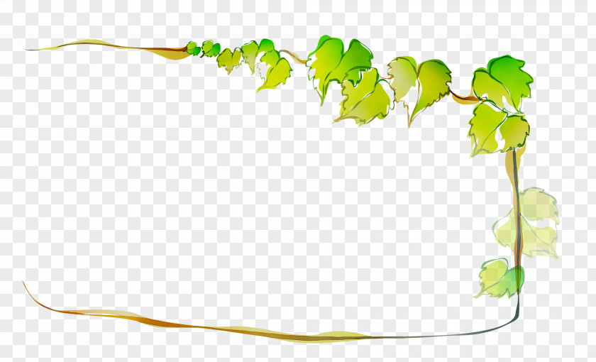 Green Leaf Plant Stem Product Design PNG
