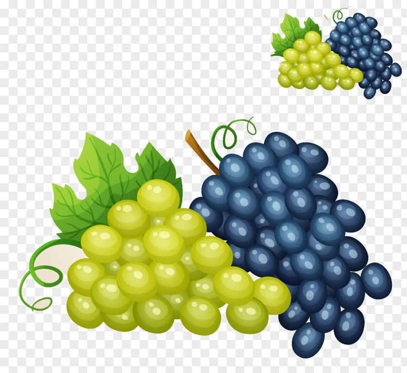Two Bunches Of Grapes Wine Grape Royalty-free Illustration PNG