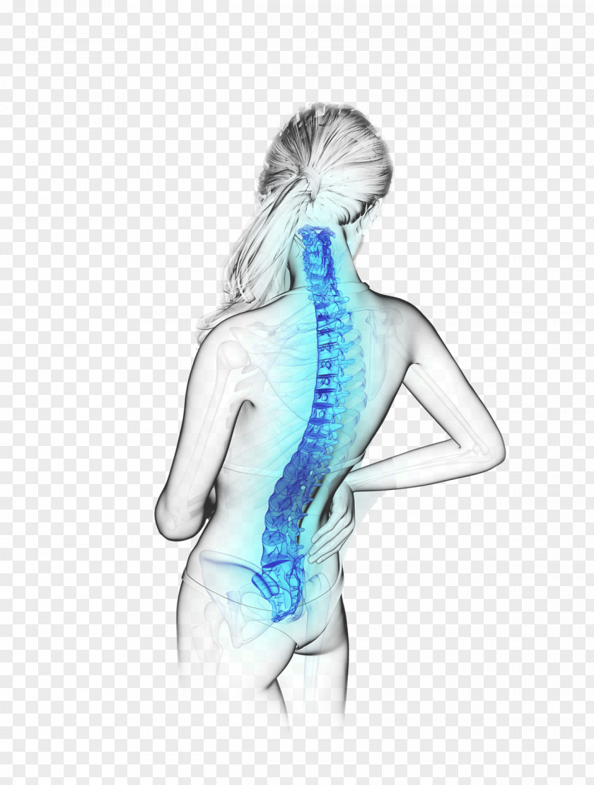 Back Pain Shoulder Drawing Arm Joint PNG