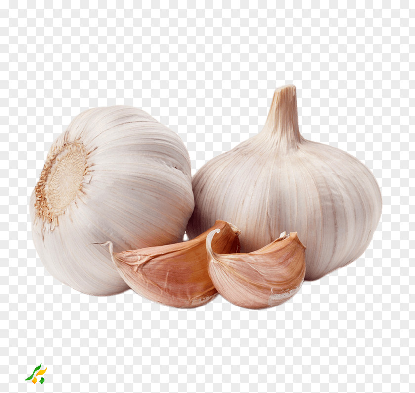 Garlic Shallot Vegetable Spice Food PNG