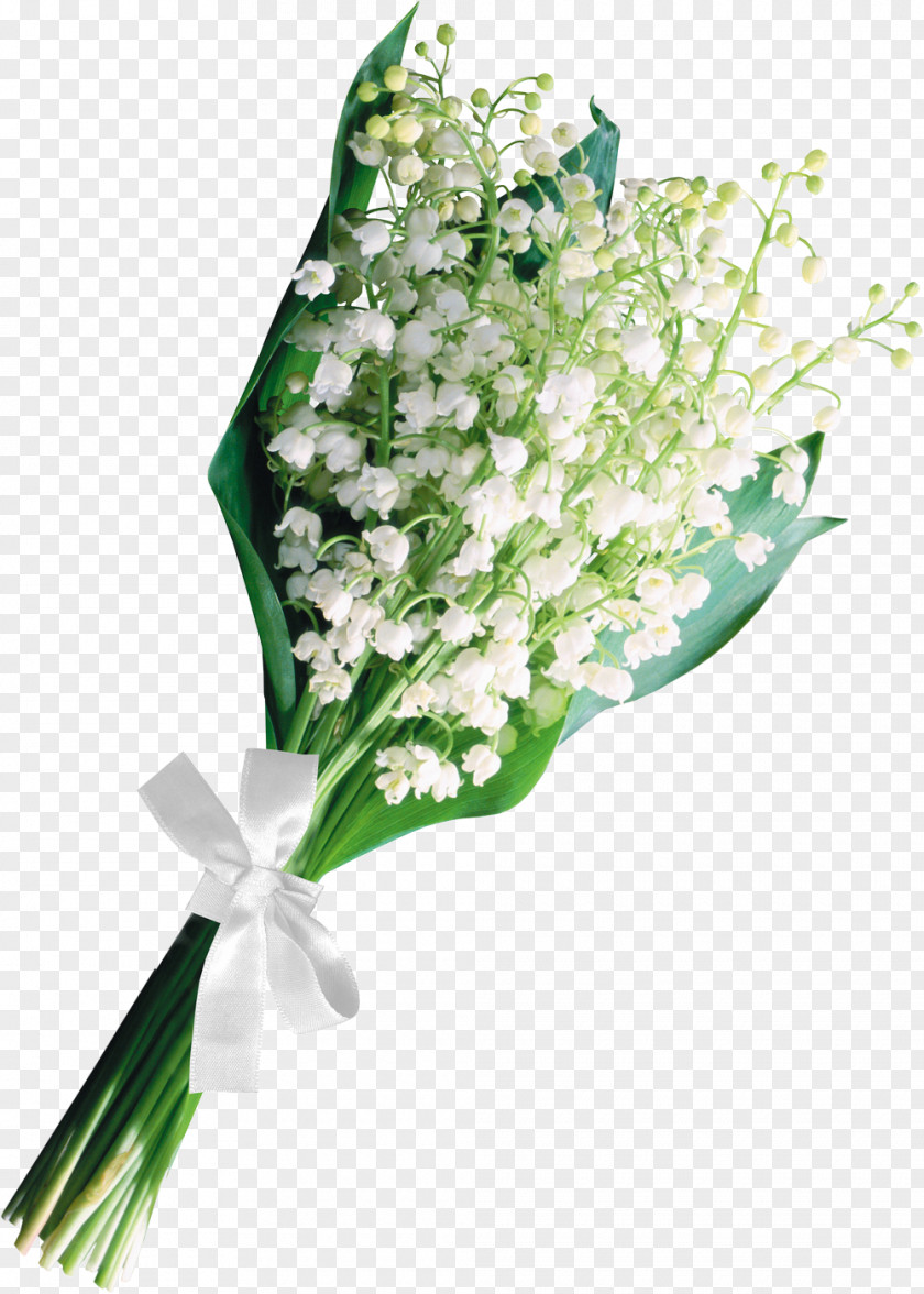 Muguet Floral Design Lily Of The Valley Flower Bouquet Cut Flowers PNG