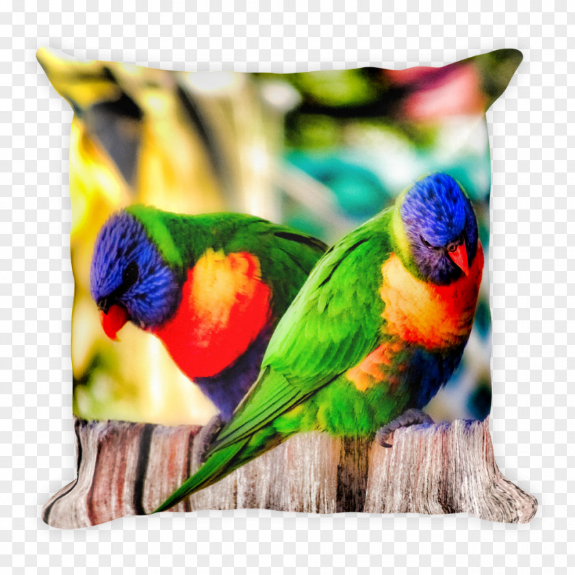 Pillow Cushion Throw Pillows Macaw North Haven, New South Wales PNG