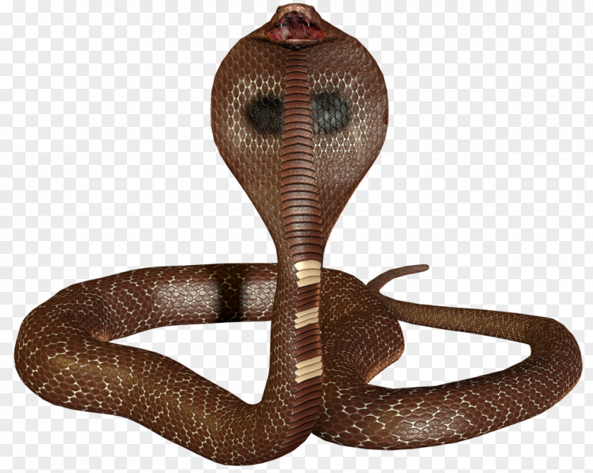 Snake 3D King Cobra PNG