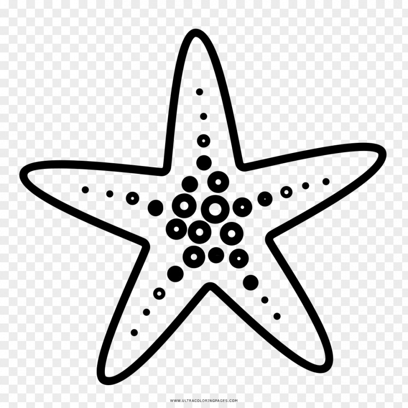 Starfish Drawing Coloring Book Doodle PNG