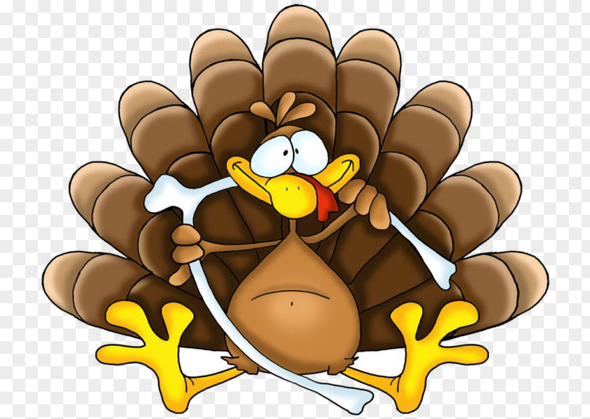 Thanksgiving Holiday Turkey Clip Art PNG