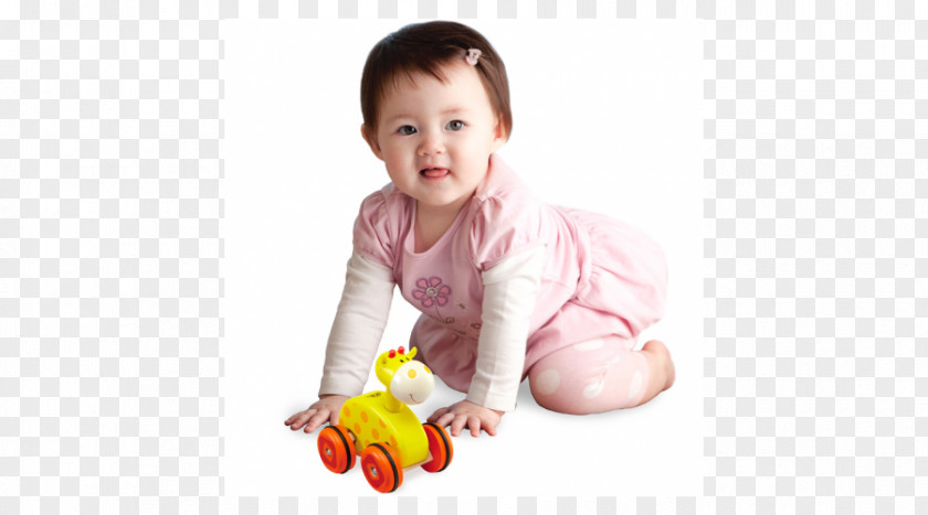 Toy Children's Literature Infant Book PNG