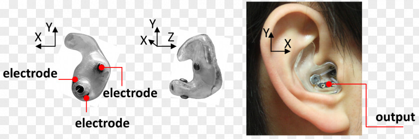 Ear Ear-EEG Electroencephalography Canal Brain PNG