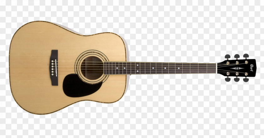 Guitar Cort Guitars Steel-string Acoustic Dreadnought Acoustic-electric PNG