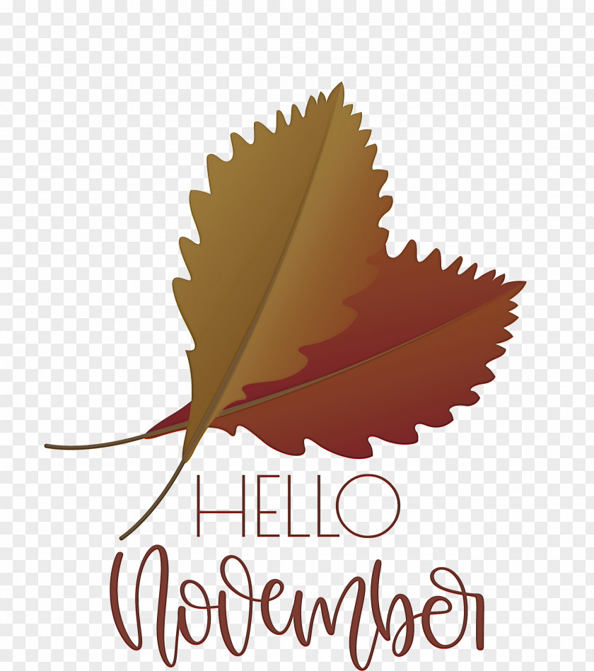 Hello November November PNG