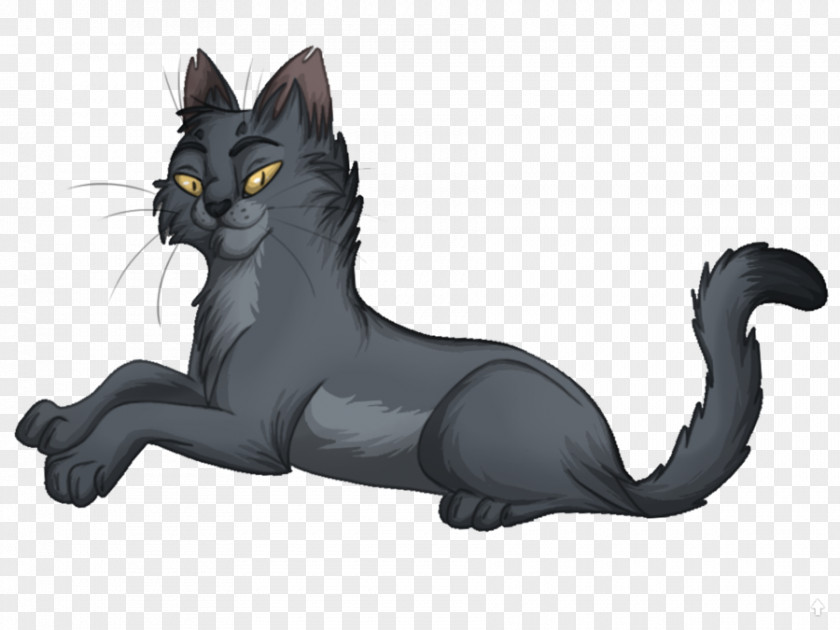 Kitten Black Cat Korat Whiskers Drawing PNG