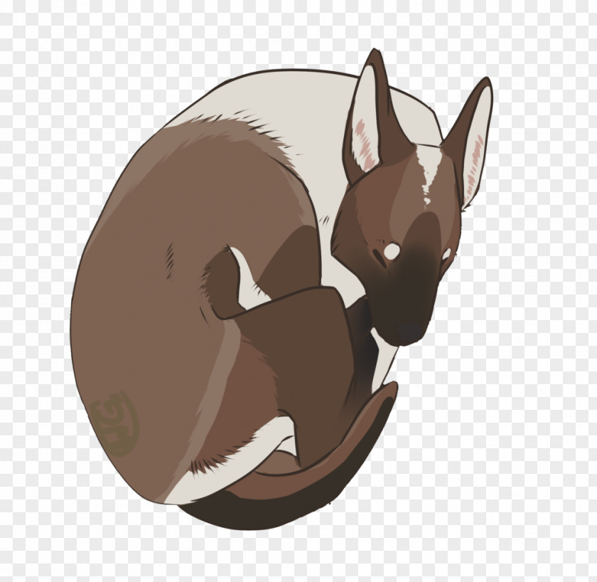 Oh Wow Dog Macropodidae Cartoon Snout PNG