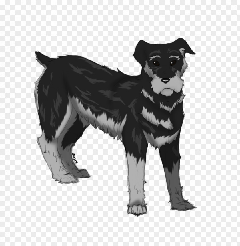 Puppy Dog Breed Rare (dog) Whiskers PNG