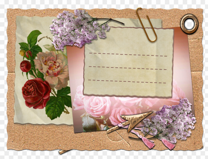 Rose Floral Design Paper Text Picture Frames PNG