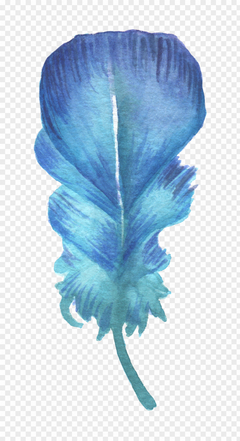 Sen Department Of Fresh Blue Watercolor Feather Painting PNG