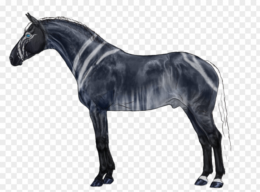 Stalking Horse Artist American Saddlebred Stallion Rein PNG