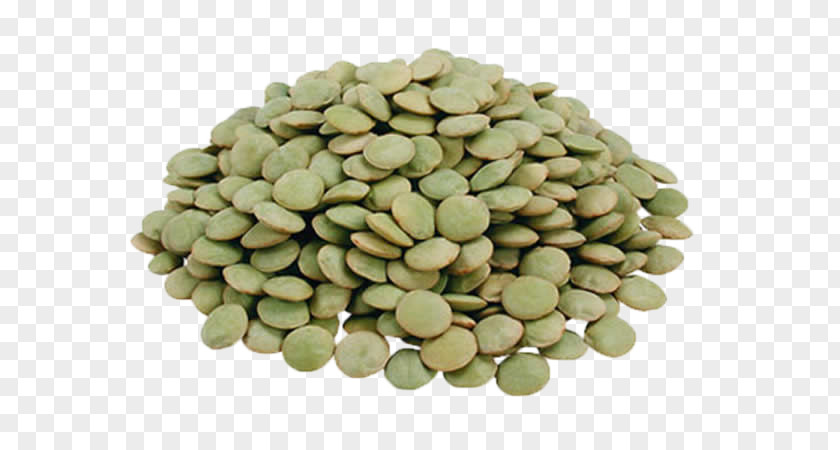 Vegetable Nut Lentil Legume Seed Bean PNG