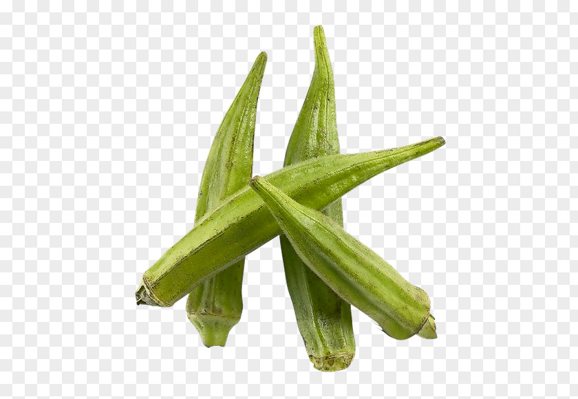 Vegetable Okra Green Bean Pea PNG