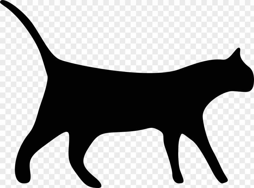 Witch Cat Black Clip Art PNG