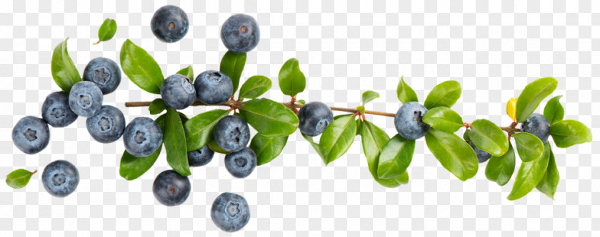 Blueberry Bilberry European Berries Royalty-free PNG