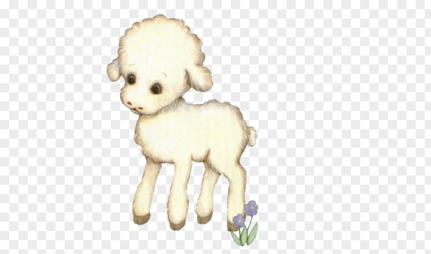 Cute Little Lamb Sheep Dog Breed PNG