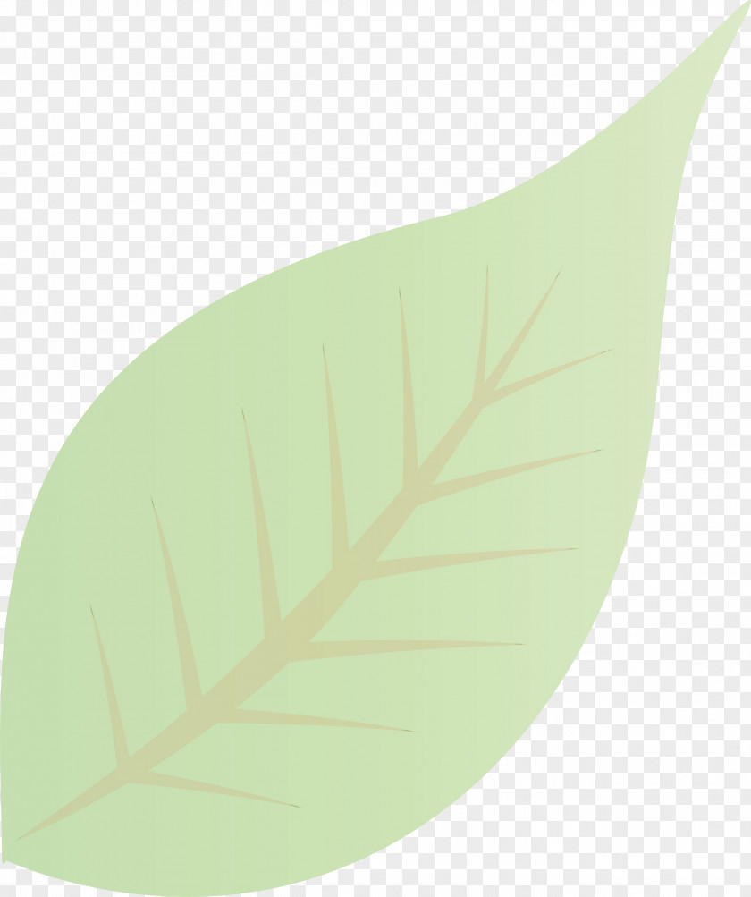 Leaf Green Science Plants Plant Structure PNG