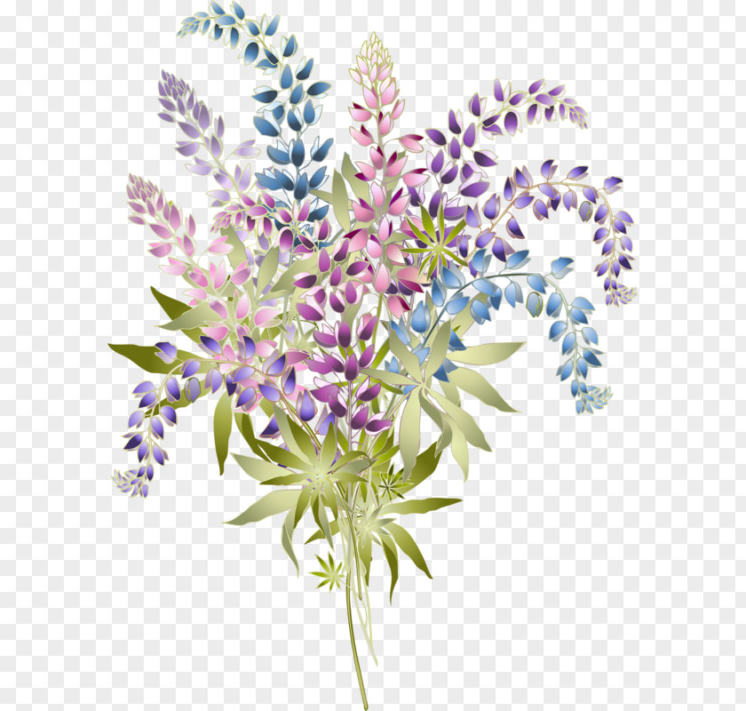 Lupine Royalty-free Clip Art PNG