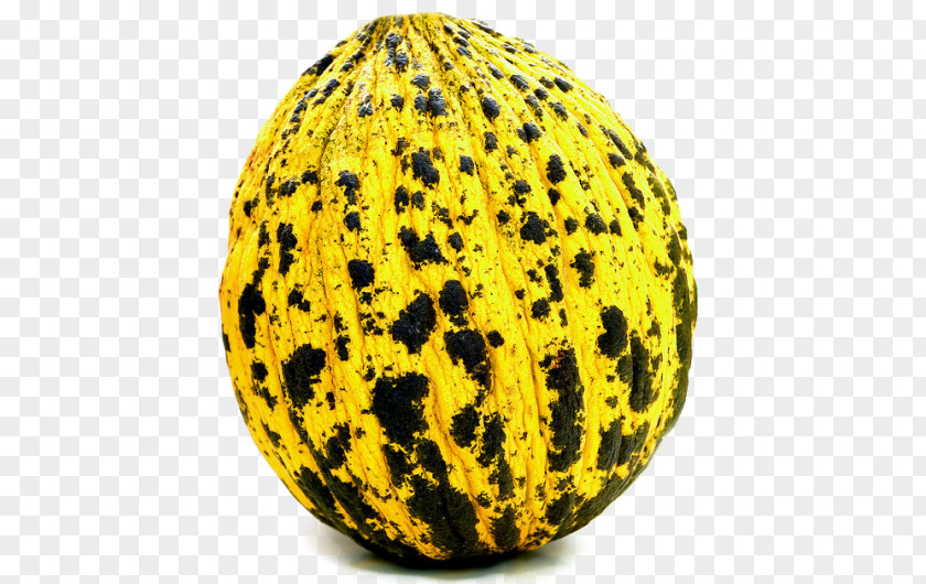 Melon Muskmelon Food Vegetable Pear PNG
