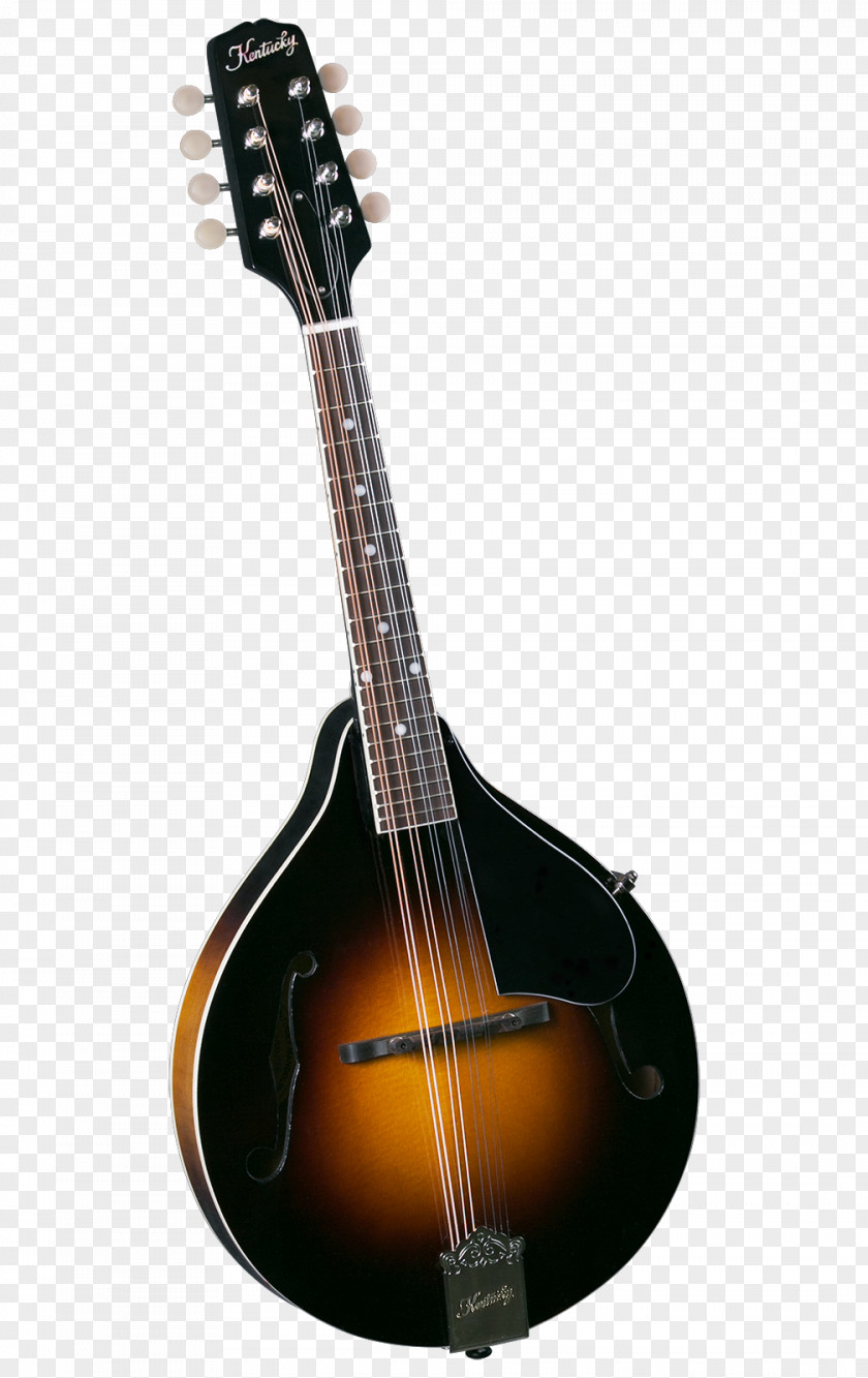 Musical Instruments Mandolin Sound Hole Musician Bluegrass PNG