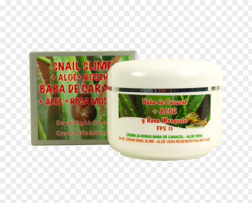 Snail Aloe Vera Sweet-Brier Cream Slime PNG