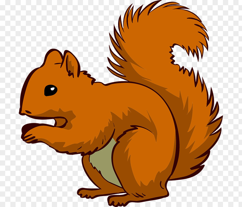 Teacher Education Squirrel Teaching Assistant Clip Art PNG