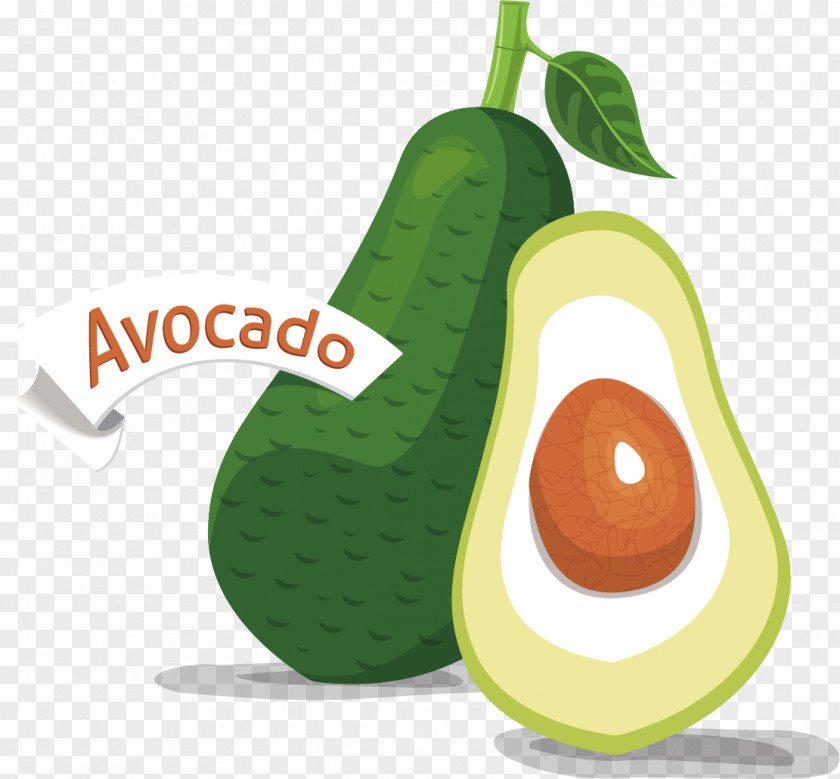 Avocado Green Vegetables Vector Material Vegetable Food Euclidean PNG