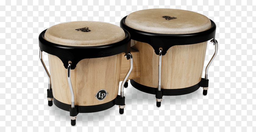 Drum Bongo Latin Percussion Conga PNG