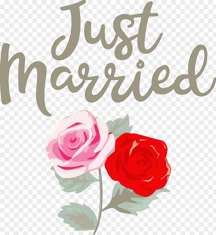 Just Married Wedding PNG