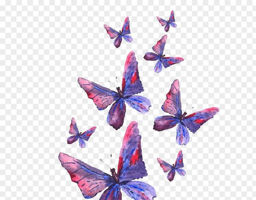 Purple Butterfly PNG