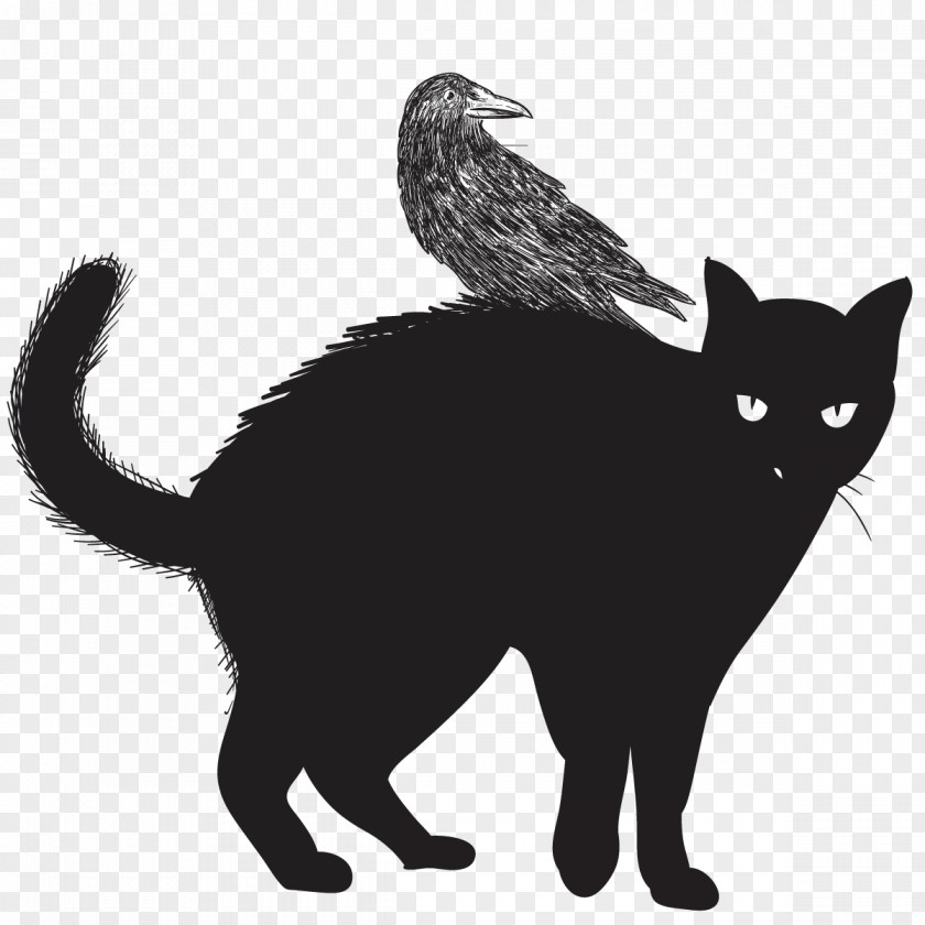 Vector Black Cat Felidae Halloween Clip Art PNG