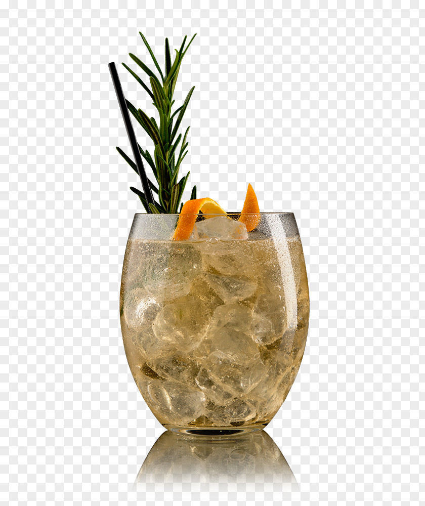 Cocktail Ginger Ale Vermouth Ingredient PNG