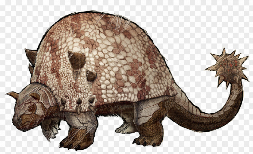 Creatures ARK: Survival Evolved Doedicurus Clavicaudatus Ankylosaurus Liopleurodon Glyptodont PNG