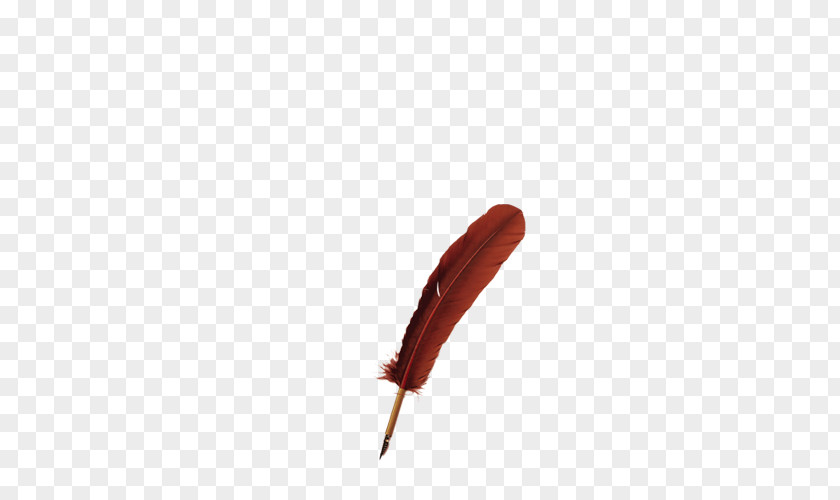 Red Feather Figure PNG