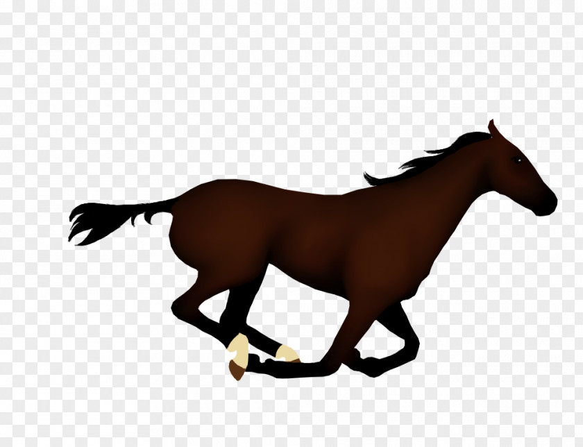Animation Animals Horse Clip Art PNG