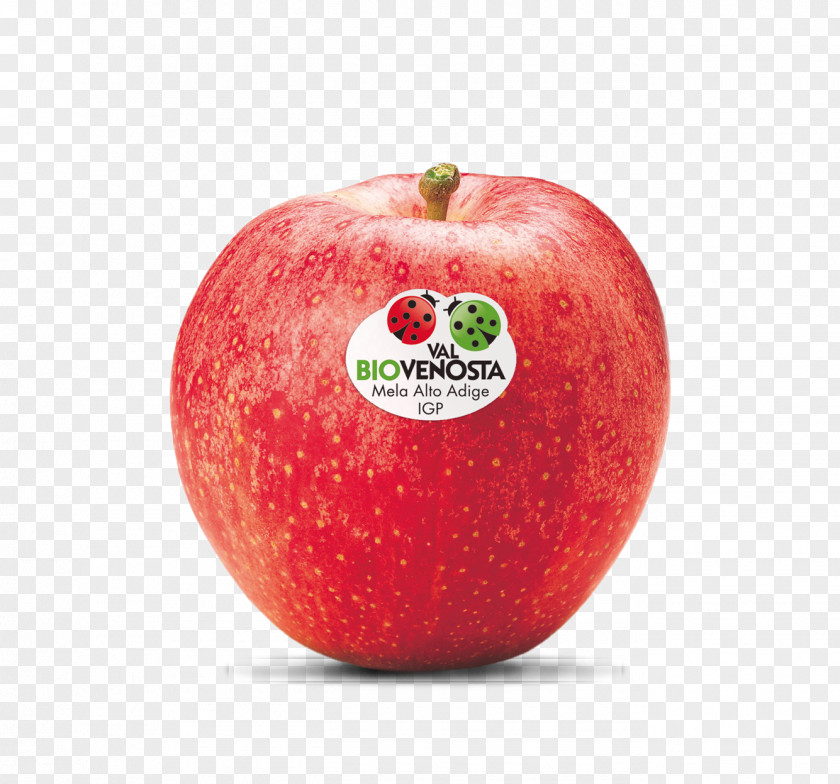 Apple McIntosh Red Gala Cripps Pink Delicious PNG