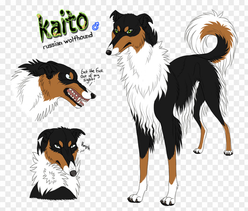 Cold Blooded Animals Rough Collie Dog Breed Companion Graphics PNG